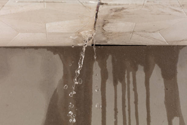 Professional Structural Drying technician working in Wildomar, CA